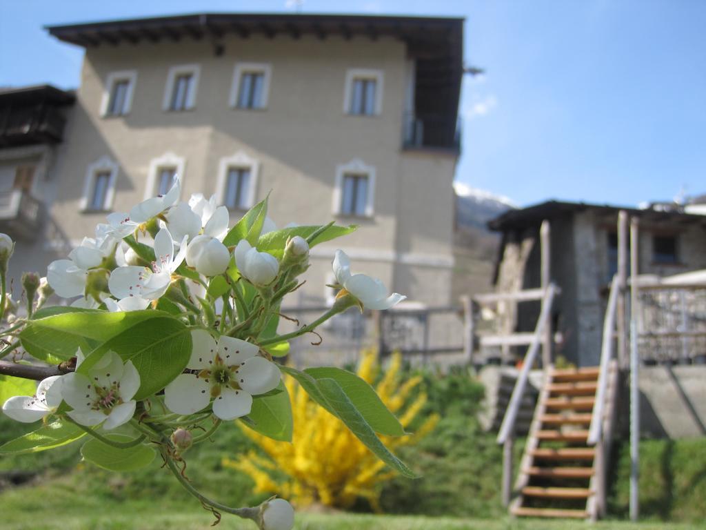 Agriturismo Antico Filare Bianzone Exterior foto
